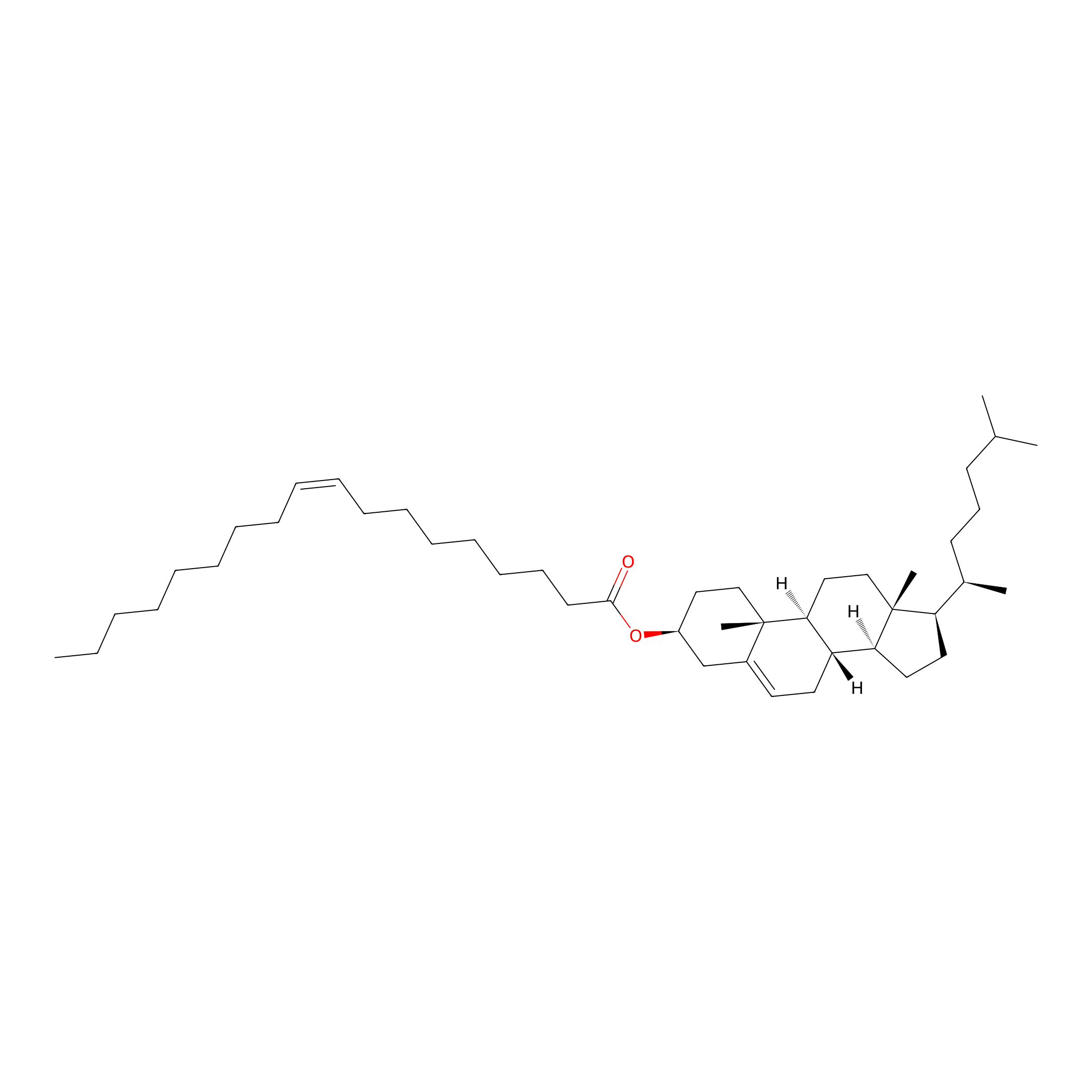 Lipid Structure Quiz: 20 Essential Lipids