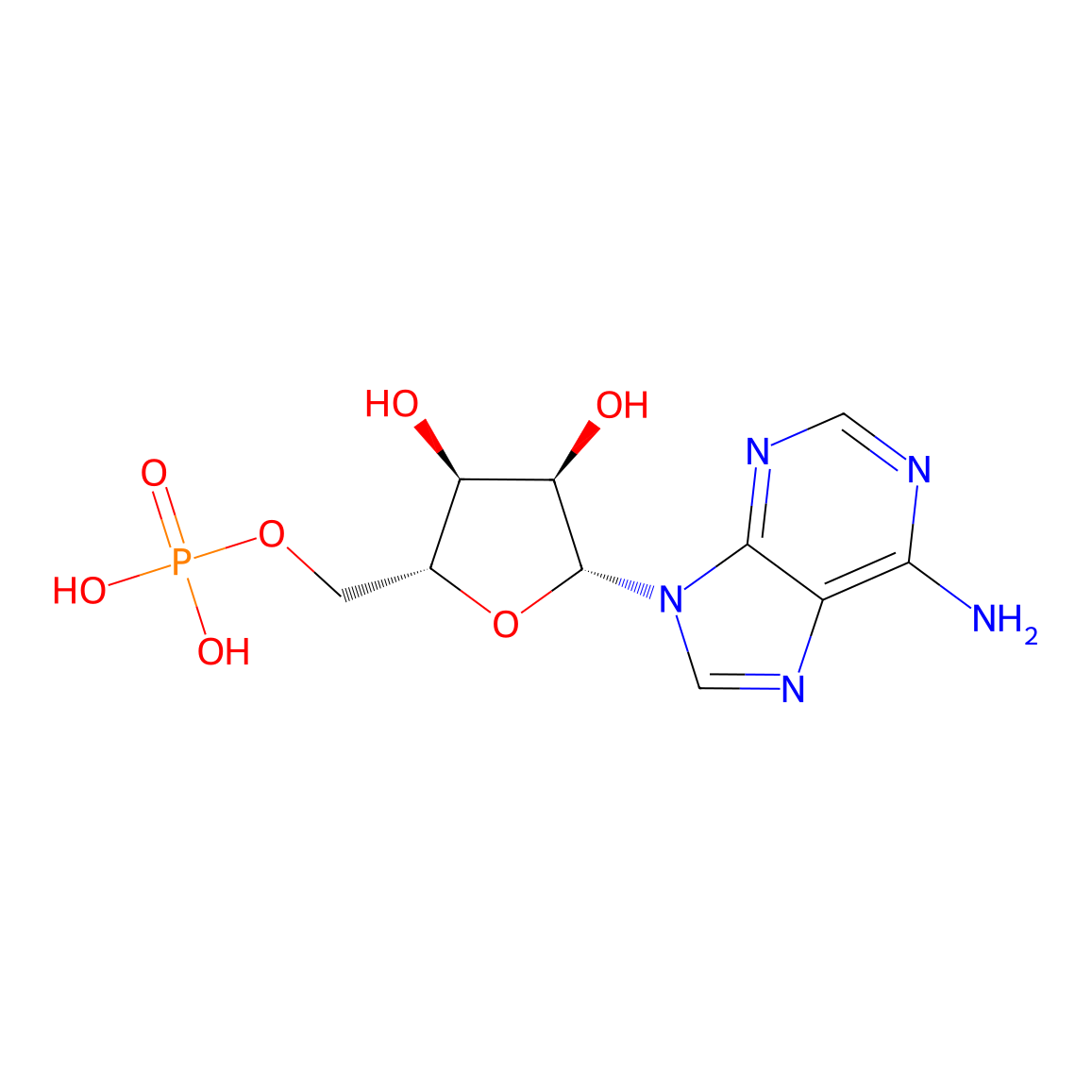 Chemical structure of AMP