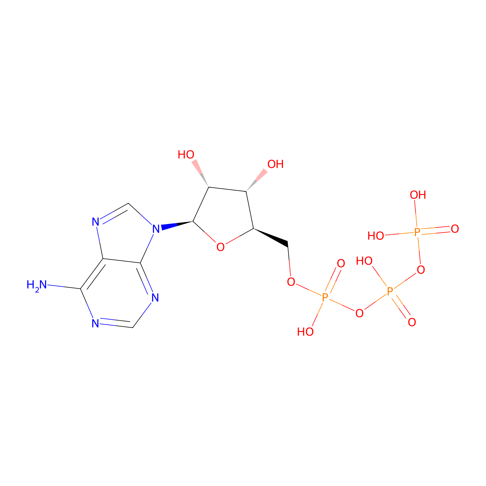 DNA and RNA Structure Quiz: 20 Bases, Nucleosides, and Nucleotides