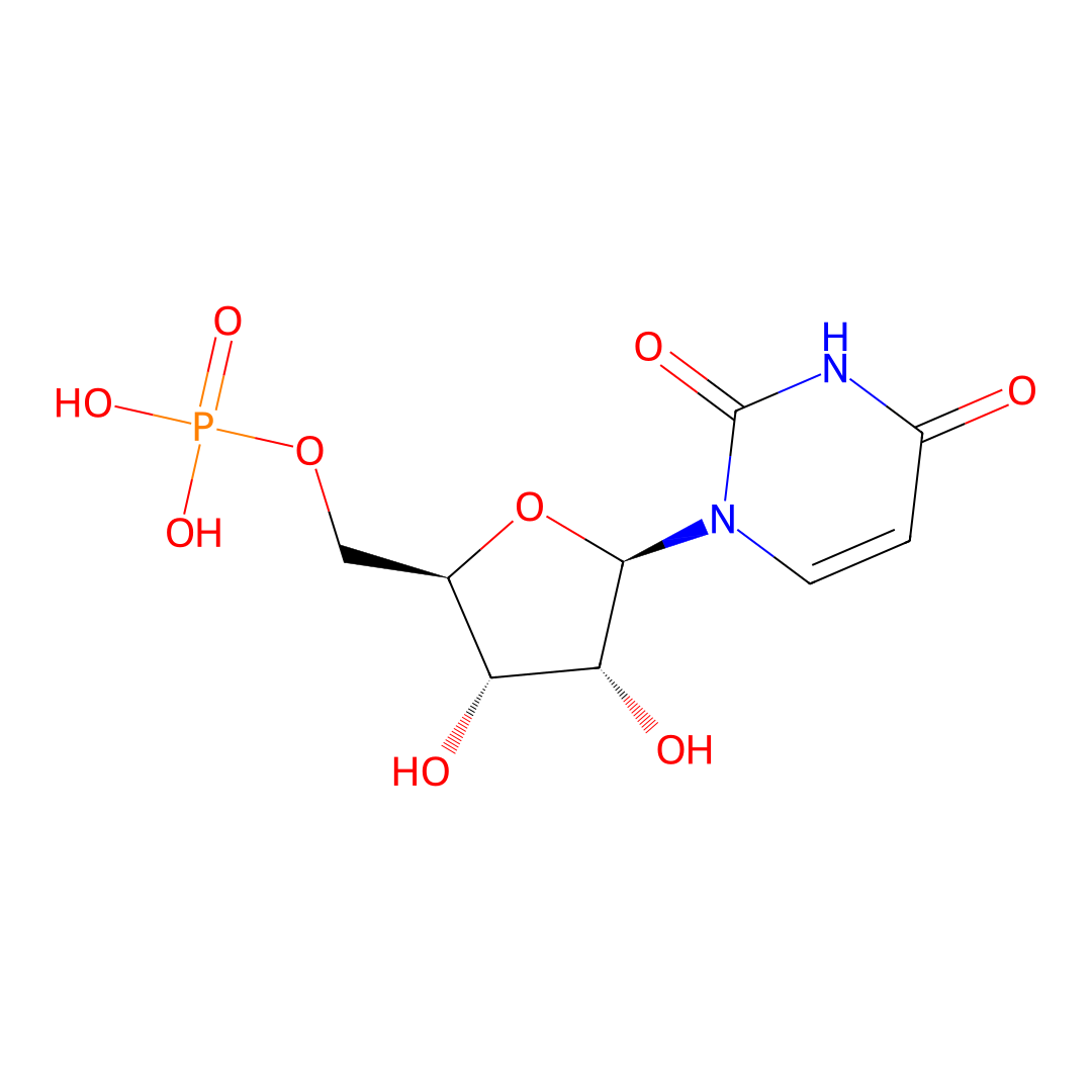 Chemical structure of UMP