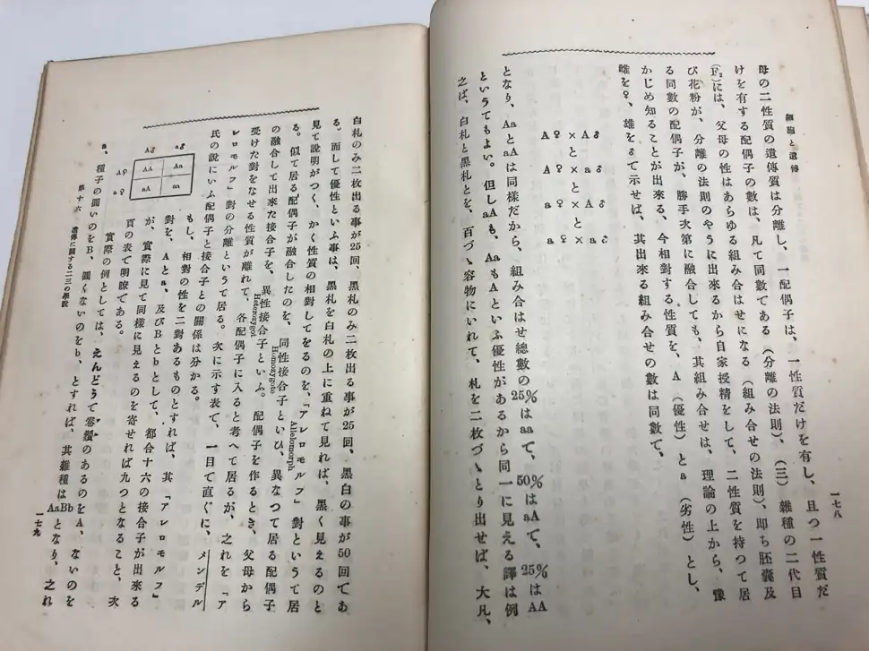 1922 Japanese biology textbook page with a two by two Mendelian inheritance combination grid
