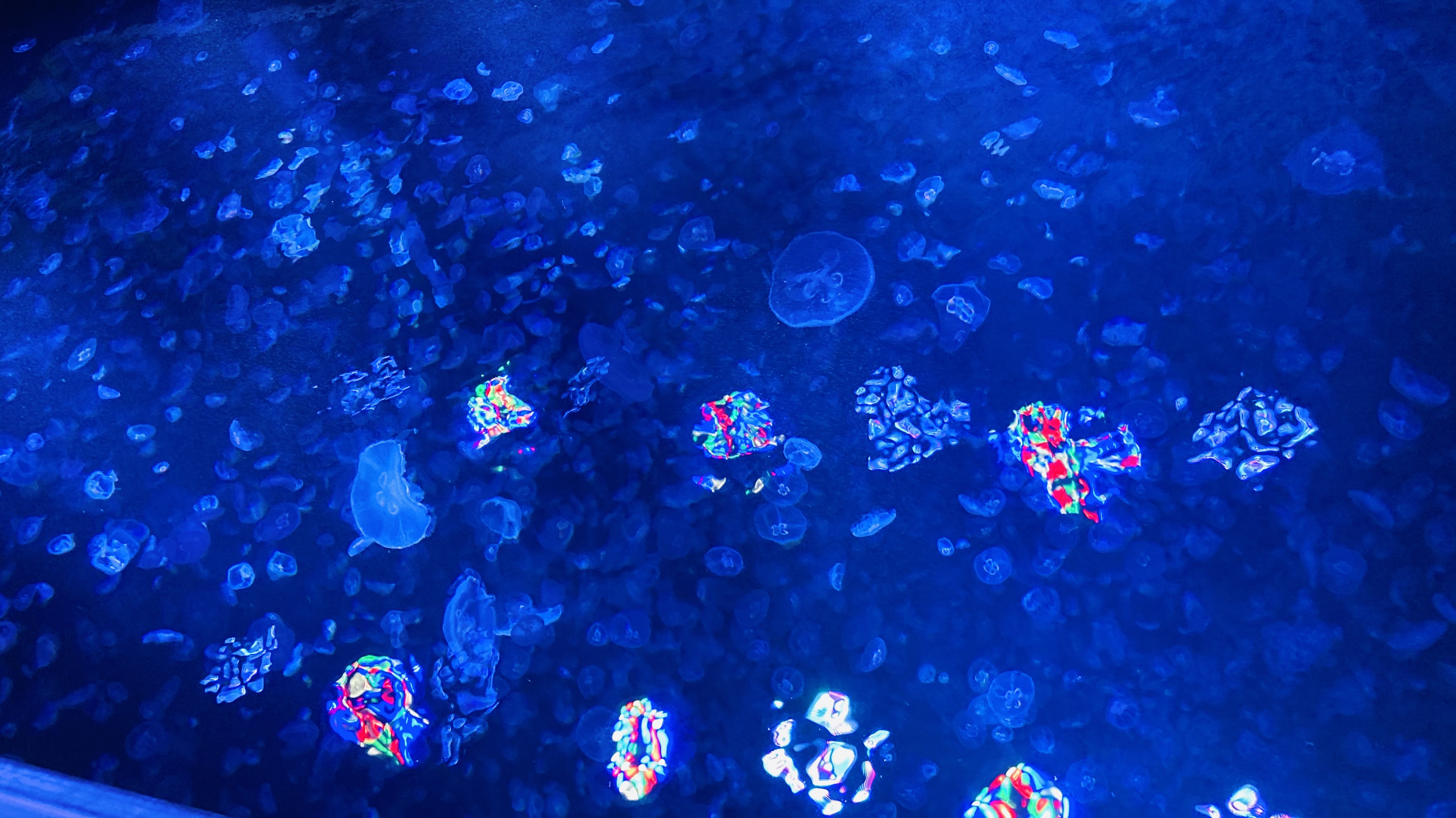 A Small Thought on Marine Plastic Recycling During Daily Research Work